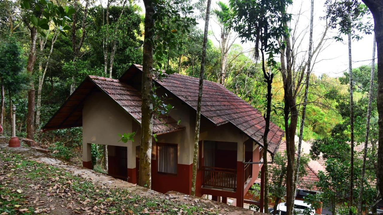 Terrace Resorts Wayanad Eksteriør billede
