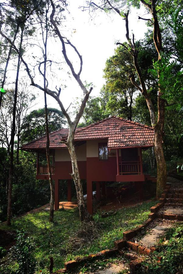 Terrace Resorts Wayanad Eksteriør billede